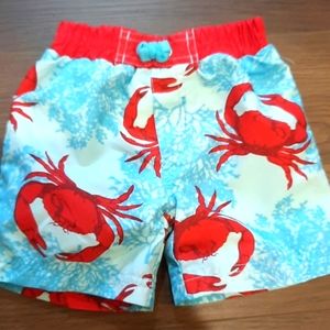 Cabalite Baby Boy Swim Trunks size 3/6 months